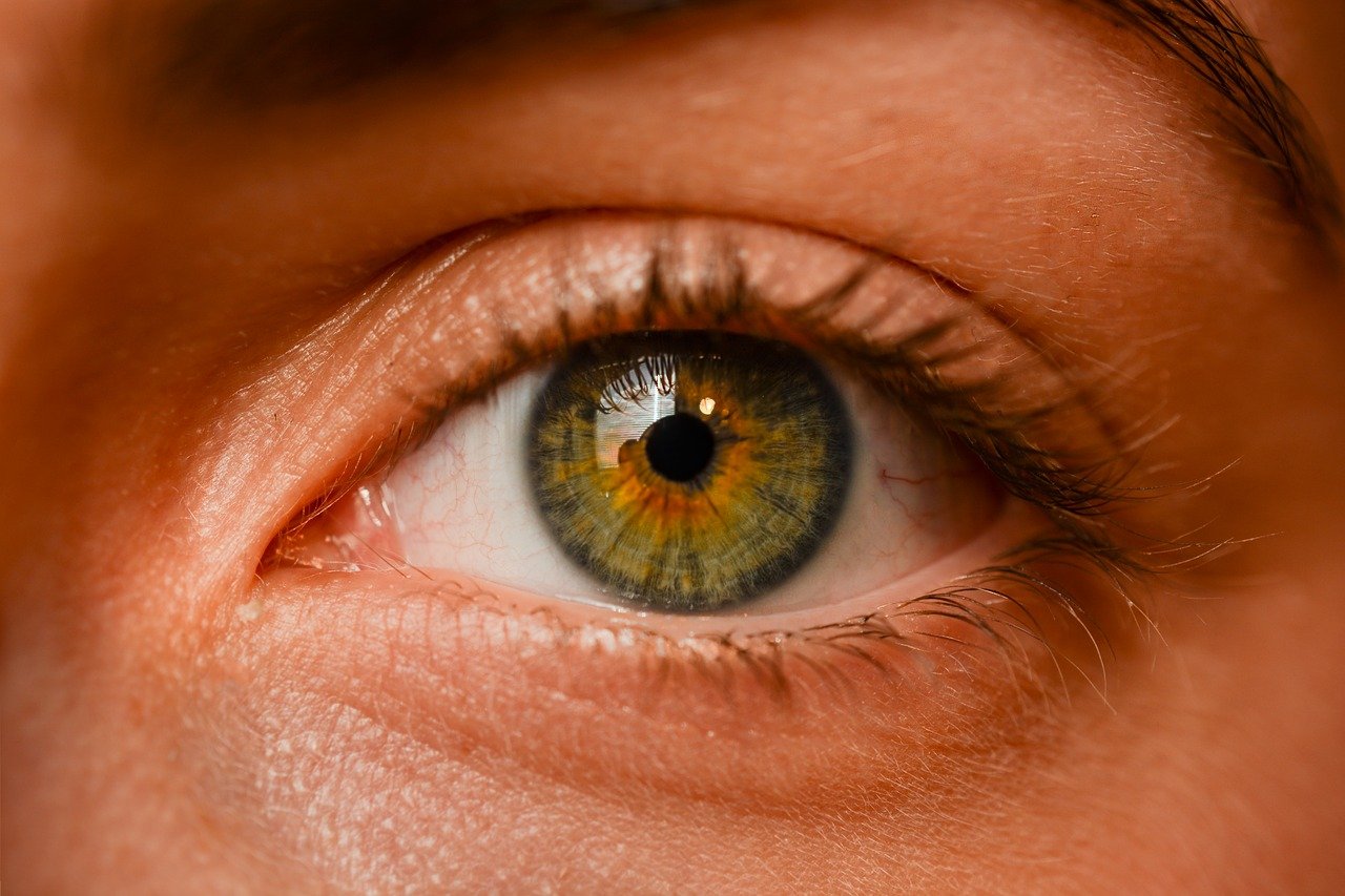 Oczy to ekstrawagancki narząd. To naturalnie dzięki nim doświadczamy.